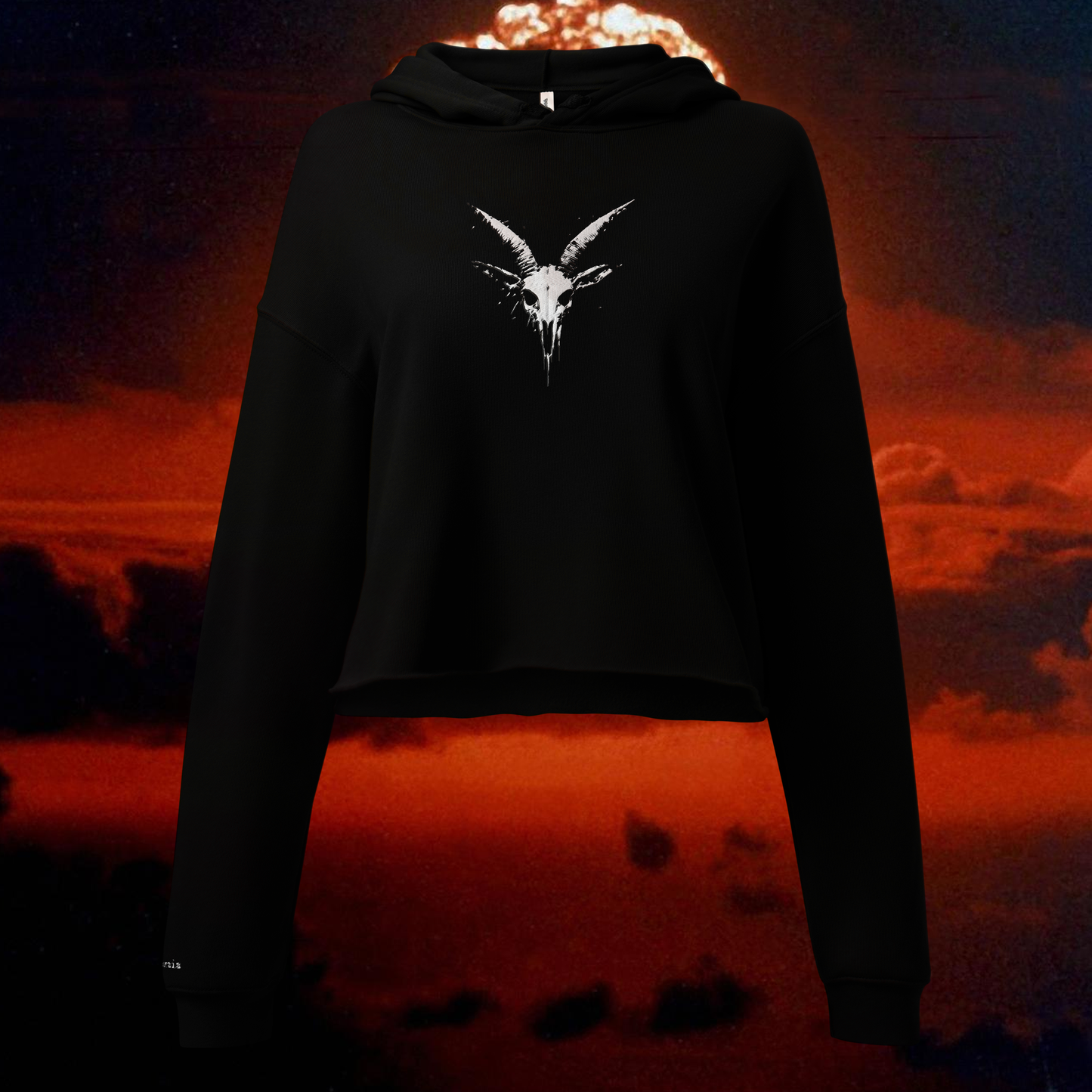 Steel hearted embroidered crop hoodie